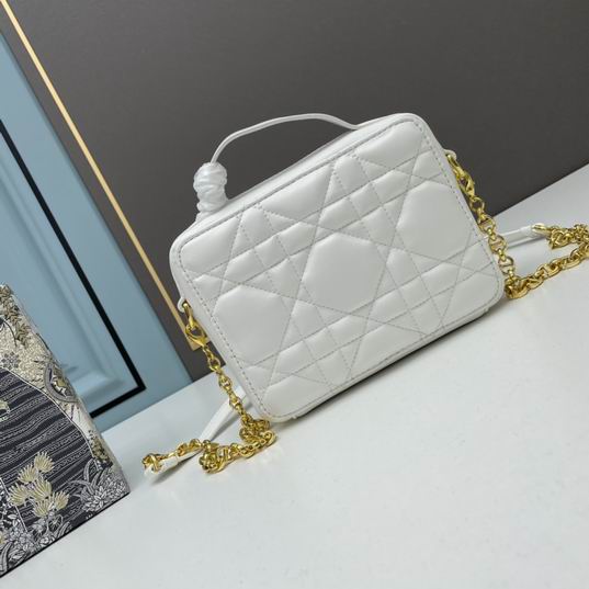 Dior 6009 20x15x6cm ww (1)
