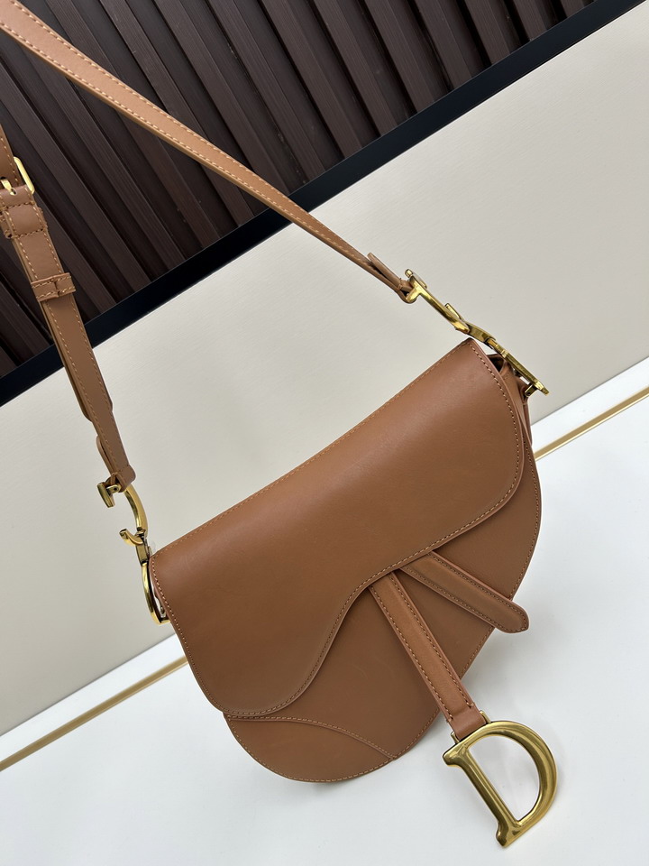 Dior saddle 0455 25 5x20x6 5cm jj_1