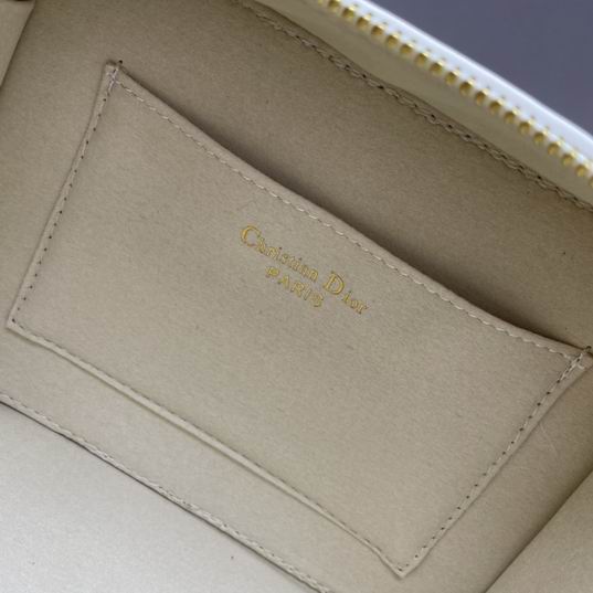 Dior Caro 17.5x5.5x13cm ww3色 (1)