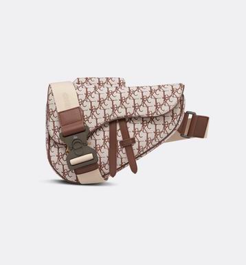 Dior saddle 9922 20x28.6x5cm ww (1)