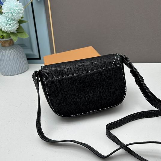 Dior A435 19.5x13x4.3cm ww3色 (1)
