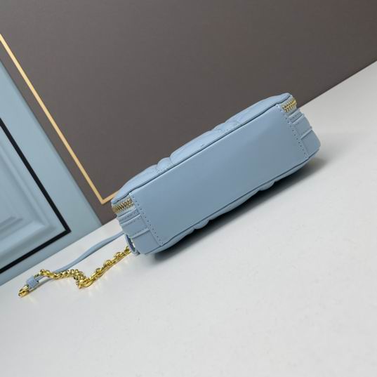 Dior Caro 17.5x5.5x13cm ww3色 (1)