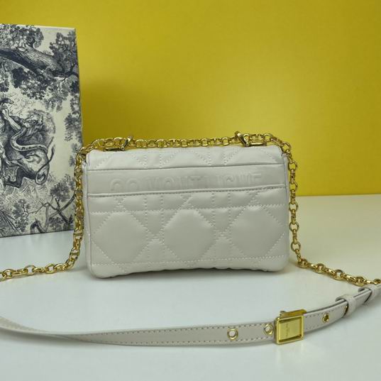 Dior Caro 2086 20x12x7cm ww4色 (1)