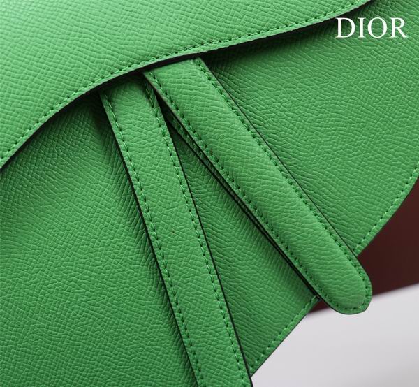 Dior M0446手掌纹 25.5x20x6.5cm CN7色 (1)