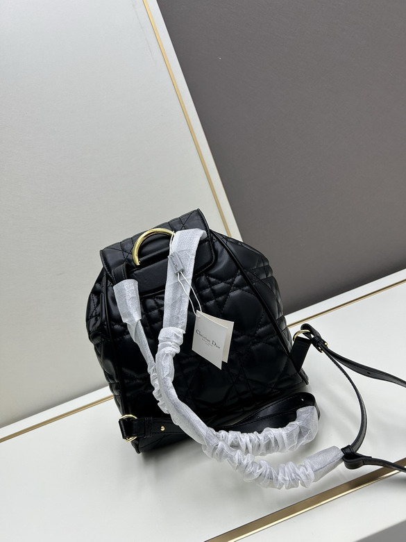 Dior 16944 23x17x11cm jj2_1
