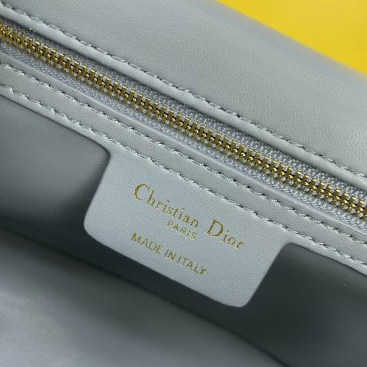 Dior Caro 2086 25.5x15.5x8cm ww4色 (1)