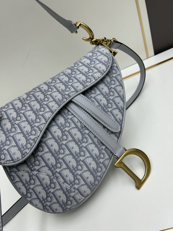 Dior saddle 886888 25 5x20x6 5cm jj_1