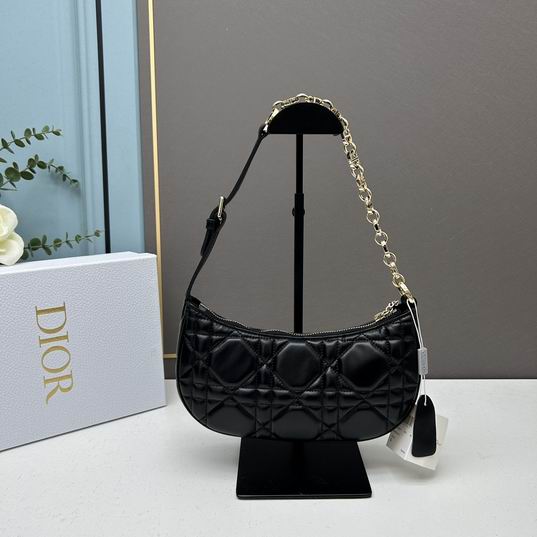 Dior 1542 26x15x5.5cm ww (1)