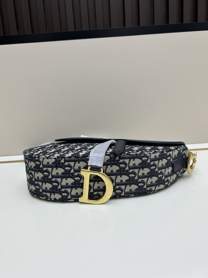 Dior Saddle 24x20x7cm jj3_1