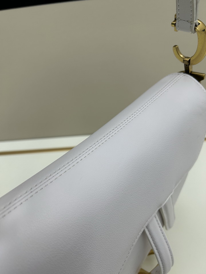 Dior saddle 0455 25 5x20x6 5cm jj1_1
