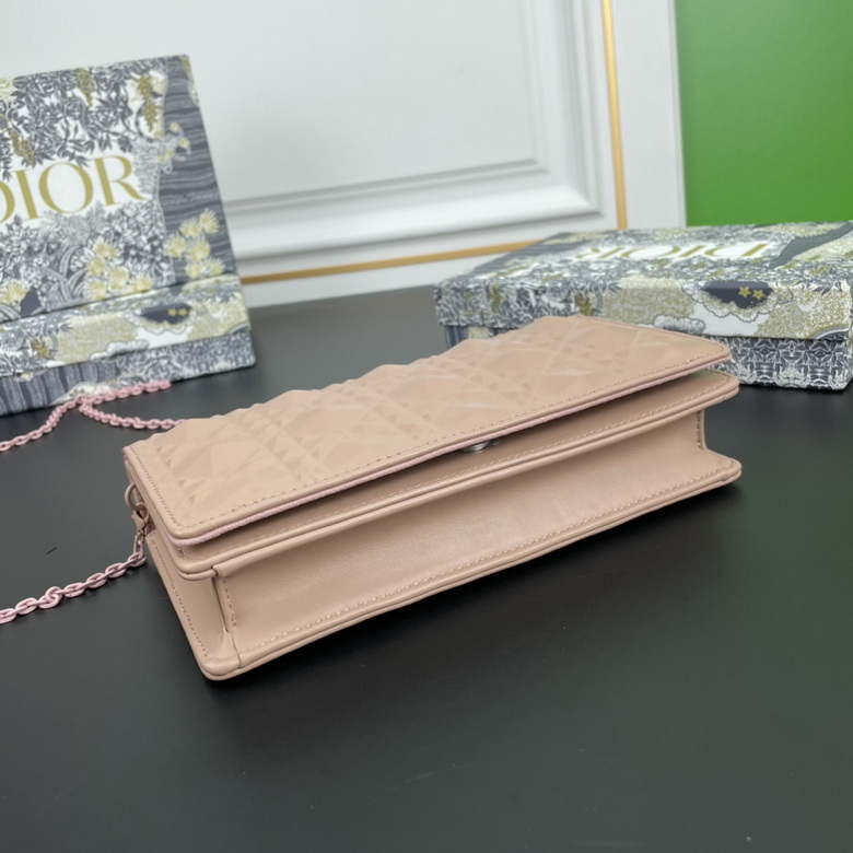 Diorcaropouch 1228 YW (1)