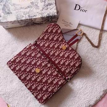 Dior Saddle M9013 22x14.5x3.5cm zy (1)