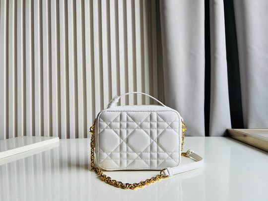 Dior Caro 17.5x5.5x13cm CN5色 (1)