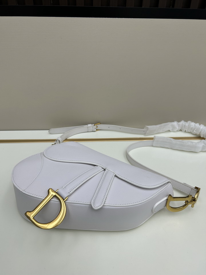 Dior saddle 0455 25 5x20x6 5cm jj1_1