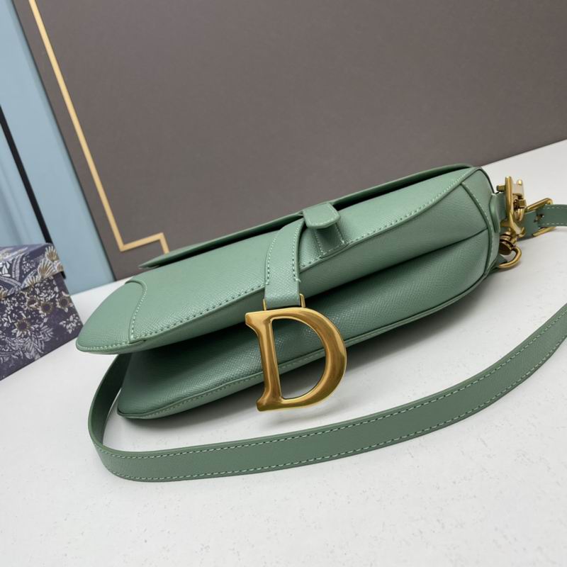 Dior saddle 0546 25.5x20x6.5cm ww5色 (1)