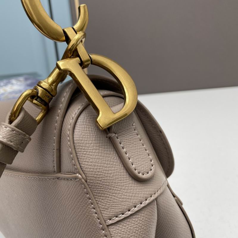 Dior saddle 0546 25.5x20x6.5cm ww5色 (1)