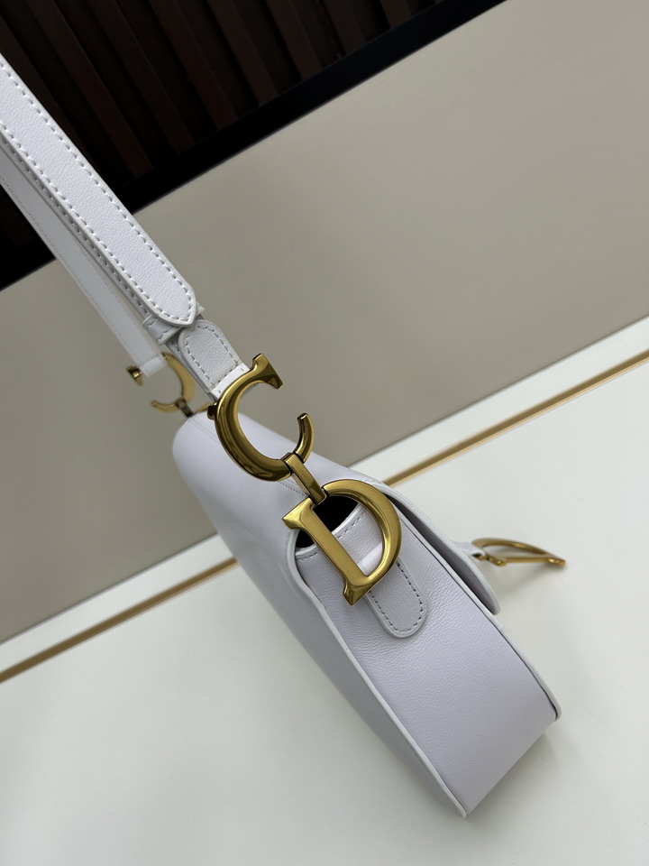 Dior saddle 0455 25 5x20x6 5cm jj1_1