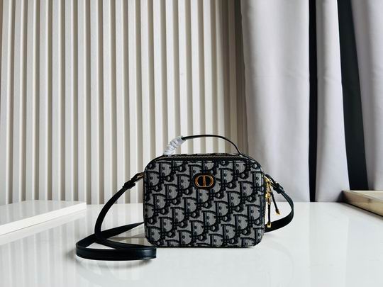 Dior Caro 17.5x5.5x13cm CN5色 (1)