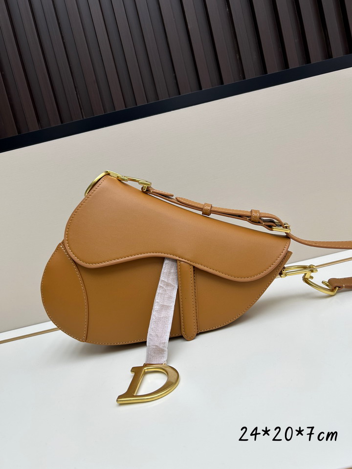 Dior Saddle 24x20x7cm jj2_1