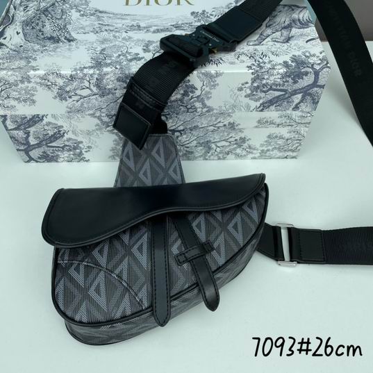 Dior saddle 7093 26x19x4.5cm ww2色 (1)