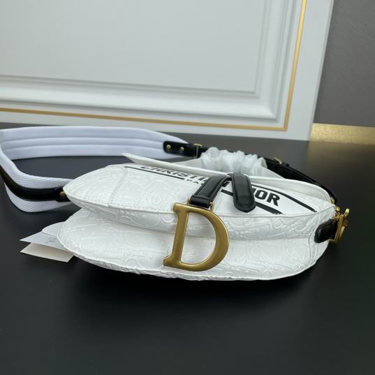 Dior Saddle 0452 25cm ww (1)