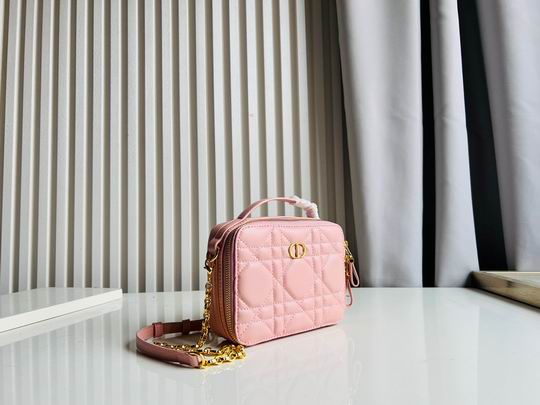 Dior Caro 17.5x5.5x13cm CN5色 (1)