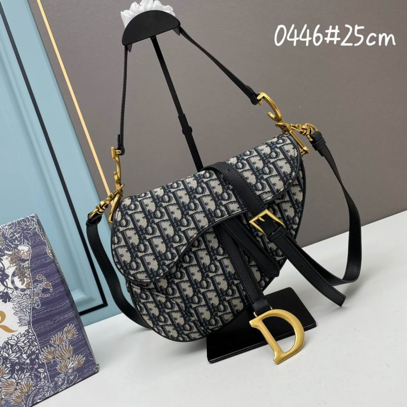 Dior saddle 0446 25.5x20x6.5cm ww (1)