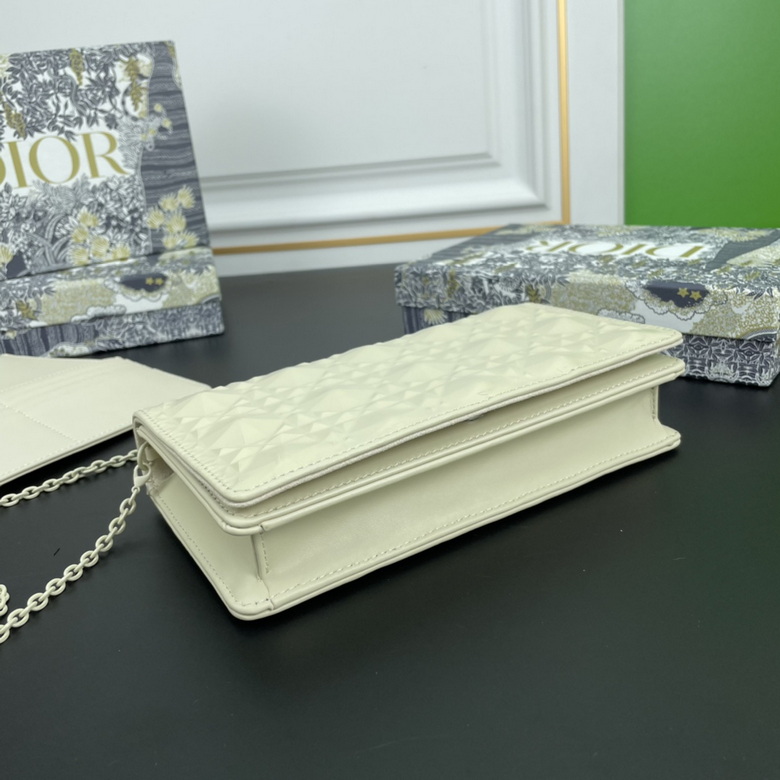 Diorcaropouch 1228 YW (1)