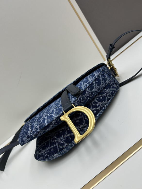 Dior saddle 0446 25 5x20x6 5cm jj_1