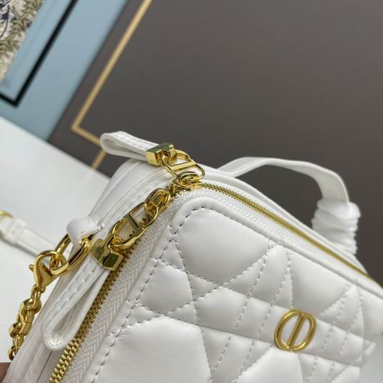 Dior 6009 20x15x6cm ww (1)