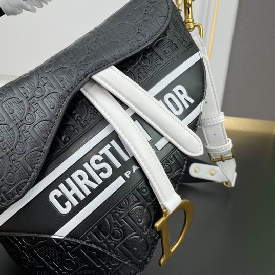 Dior Saddle 0452 25cm ww (1)