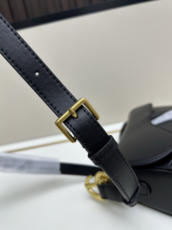 Dior Saddle 24x20x7cm jj1_1