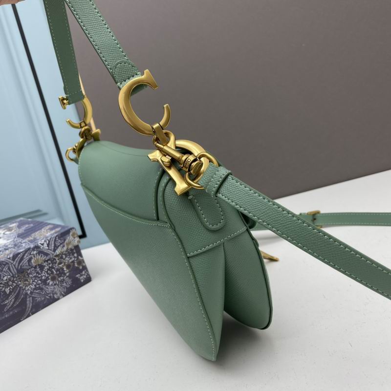 Dior saddle 0546 25.5x20x6.5cm ww5色 (1)