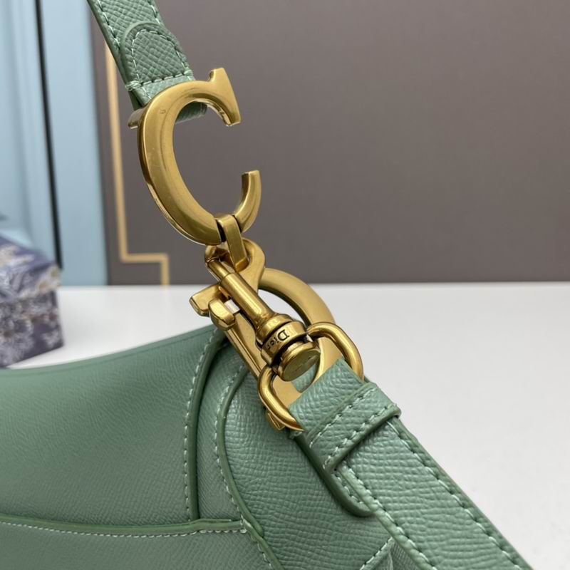 Dior saddle 0546 25.5x20x6.5cm ww5色 (1)