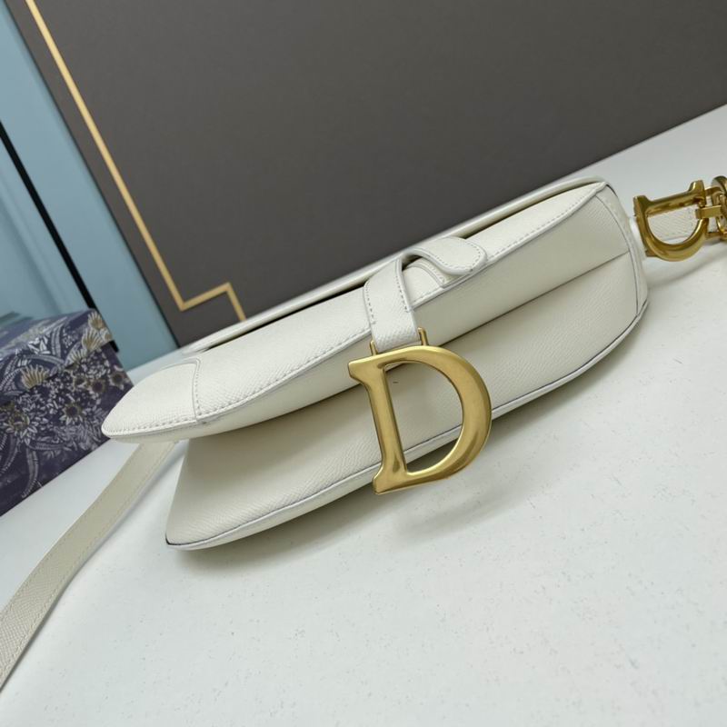 Dior saddle 0546 25.5x20x6.5cm ww5色 (1)