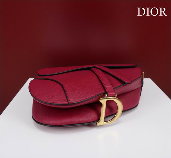 Dior M0446手掌纹 25.5x20x6.5cm CN7色 (1)