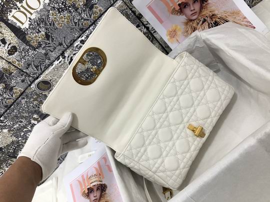 Dior Caro M9242 25.5x15.5x8cm CN4色 (1)