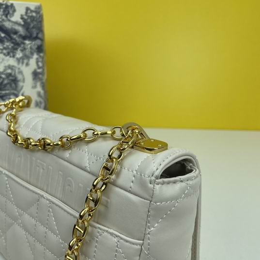 Dior Caro 2086 25.5x15.5x8cm ww4色 (1)
