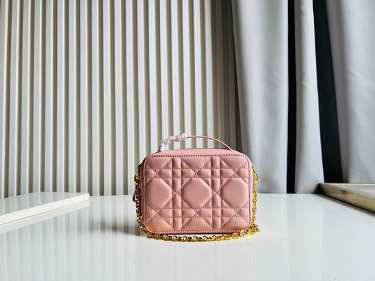 Dior Caro 17.5x5.5x13cm CN5色 (1)