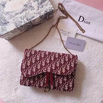 Dior Saddle M9013 22x14.5x3.5cm zy (1)