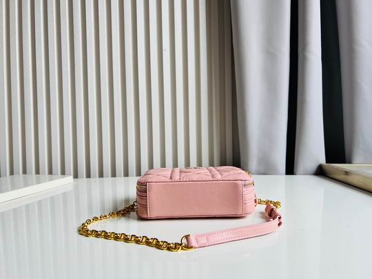 Dior Caro 17.5x5.5x13cm CN5色 (1)