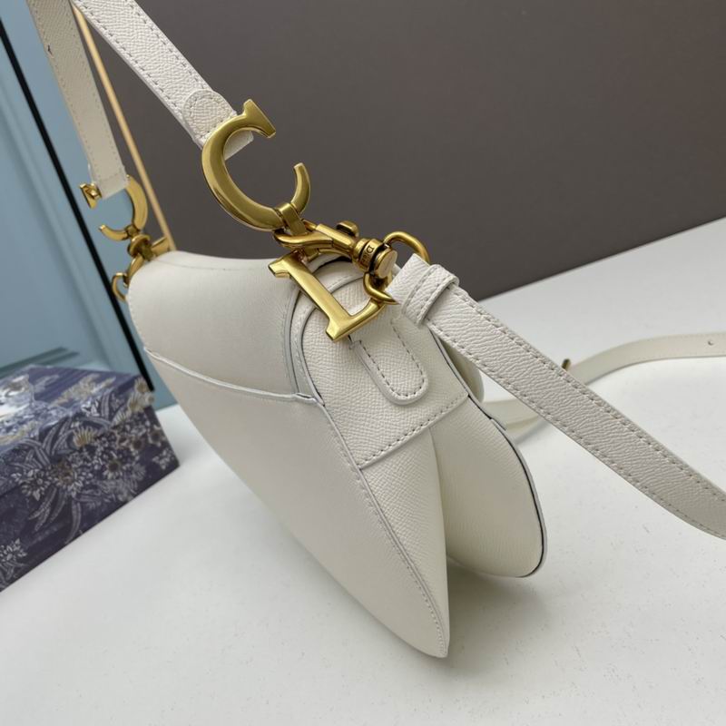 Dior saddle 0546 25.5x20x6.5cm ww5色 (1)