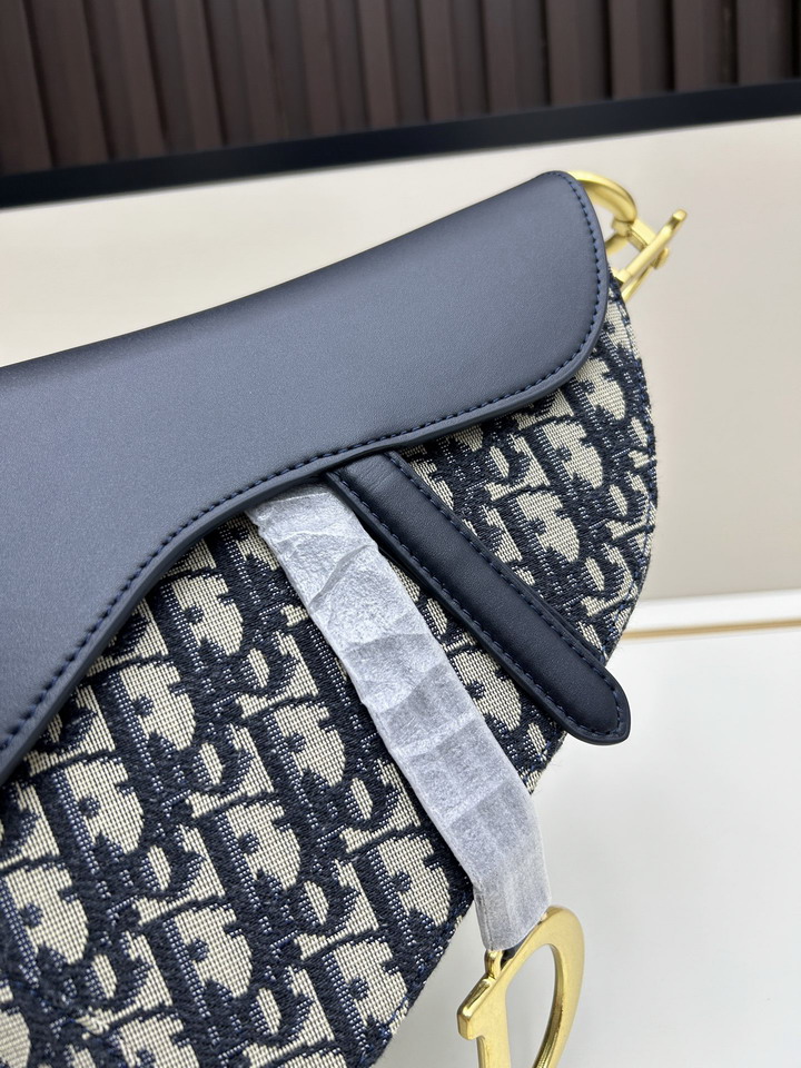 Dior Saddle 24x20x7cm jj3_1