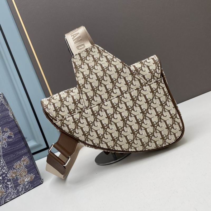 Dior saddle 20x28.6x5cm ww (1)
