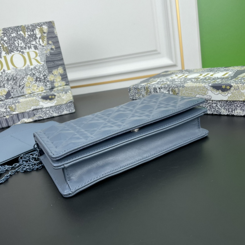 Diorcaropouch 1228 YW (1)