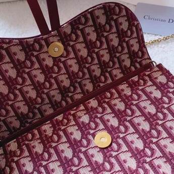 Dior Saddle M9013 22x14.5x3.5cm zy (1)