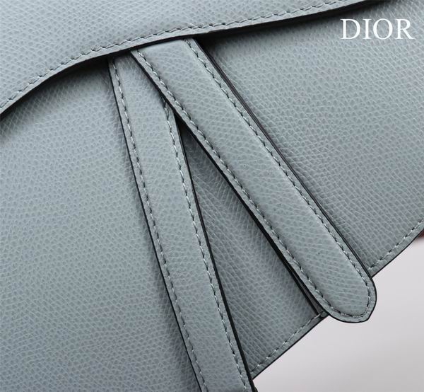 Dior M0446手掌纹 25.5x20x6.5cm CN7色 (1)
