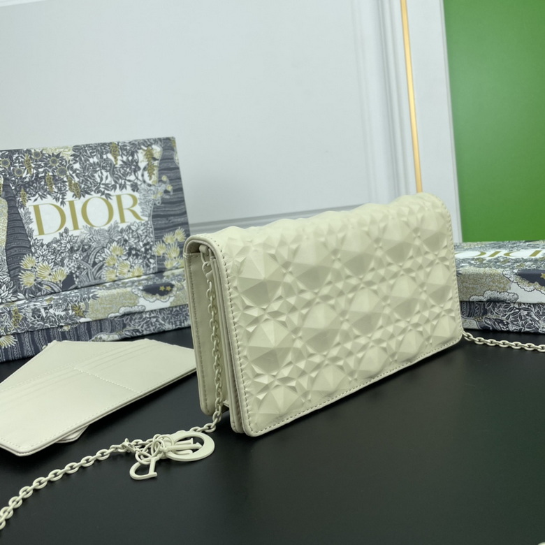 Diorcaropouch 1228 YW (1)