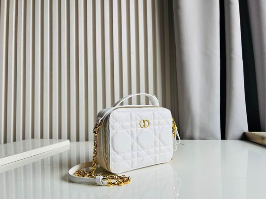 Dior Caro 17.5x5.5x13cm CN5色 (1)