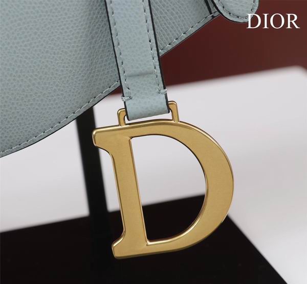Dior M0446手掌纹 25.5x20x6.5cm CN7色 (1)